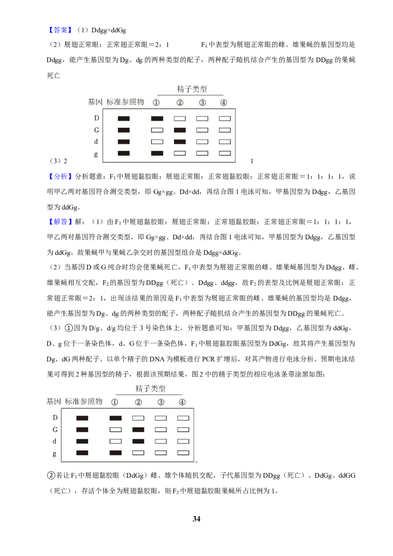 2025年菁优高考生物解密之遗传的基本规律_中考押题2026《中考押题》系列（9科全套实时更新中）_2026版中考《菁优系列》趋势分析+押题密卷+抢分秘籍+模拟考试_考点篇