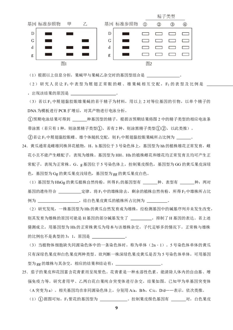 2025年菁优高考生物解密之遗传的基本规律_中考押题2026《中考押题》系列（9科全套实时更新中）_2026版中考《菁优系列》趋势分析+押题密卷+抢分秘籍+模拟考试_考点篇