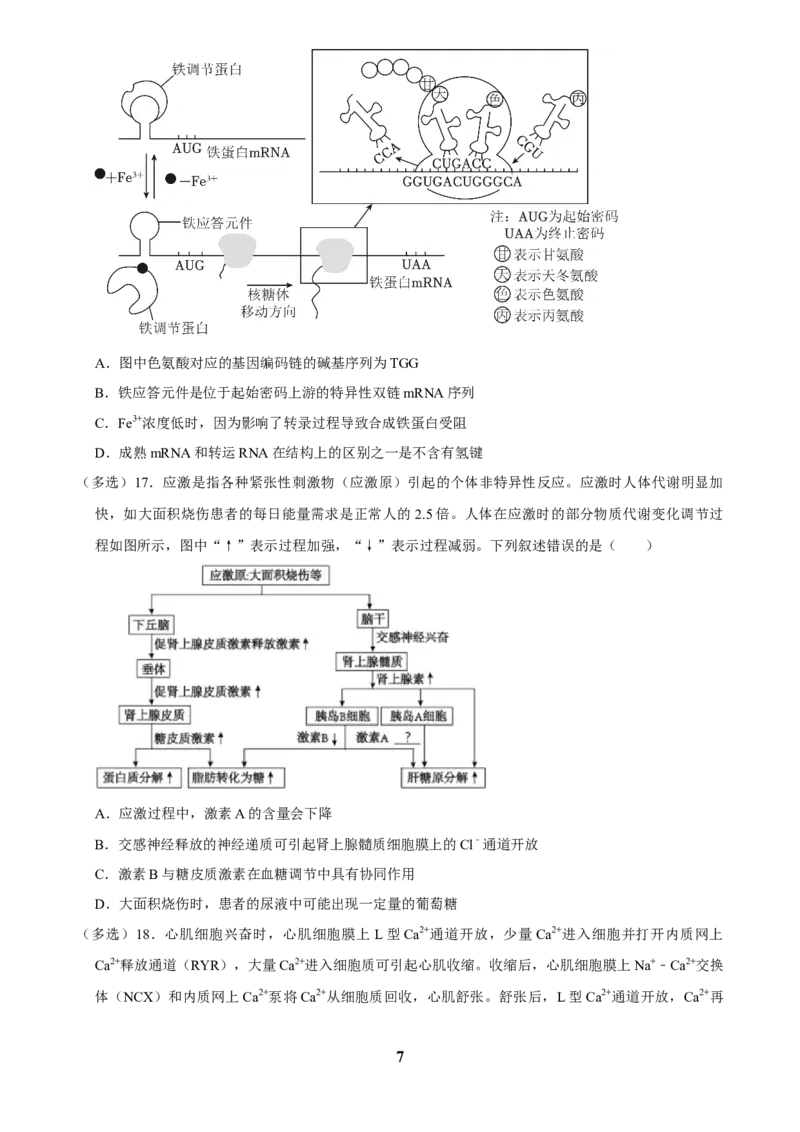 2025年菁优高考生物解密之多选题_中考押题2026《中考押题》系列（9科全套实时更新中）_2026版中考《菁优系列》趋势分析+押题密卷+抢分秘籍+模拟考试_0062025菁优高考解密汇编-生物