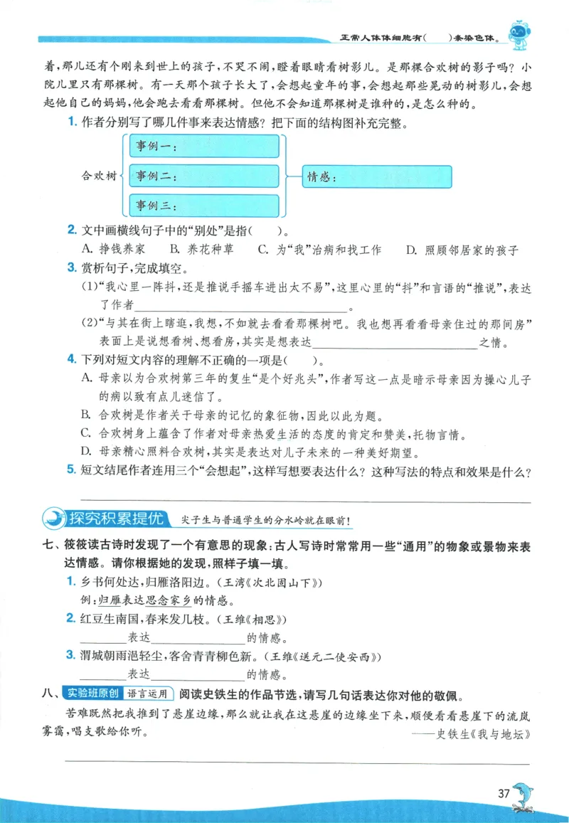 2026春《实验班提优训练》语文RJ6下_2026春人教语文《实验班提优训练》_2026春《实验班提优训练》语文RJ6下