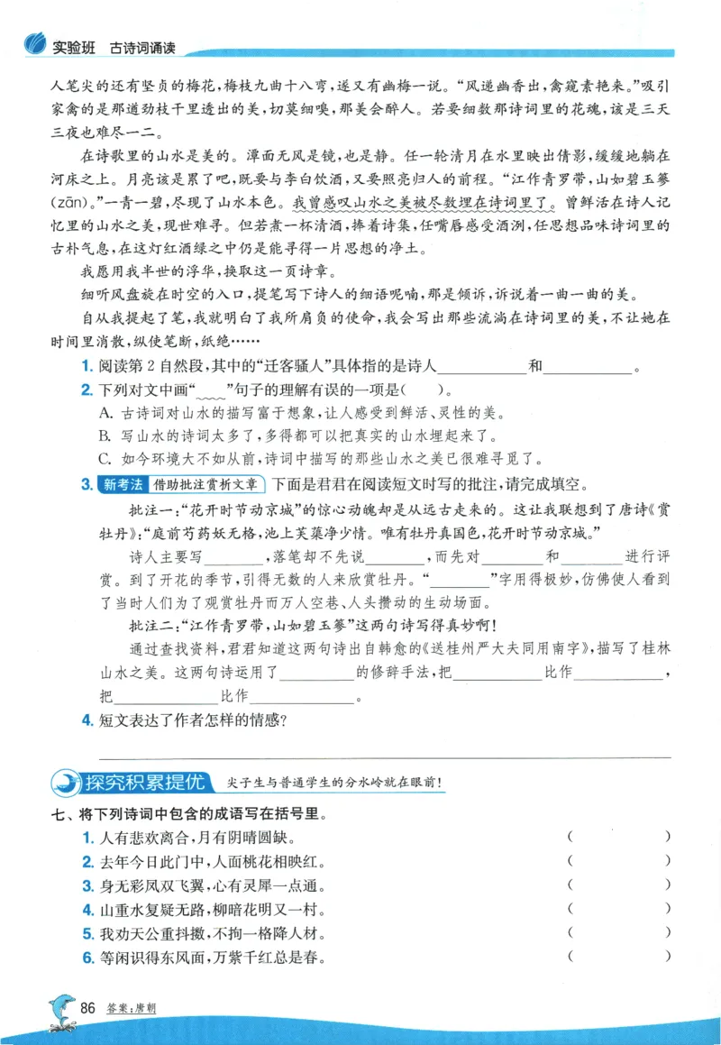 2026春《实验班提优训练》语文RJ6下_2026春人教语文《实验班提优训练》_2026春《实验班提优训练》语文RJ6下
