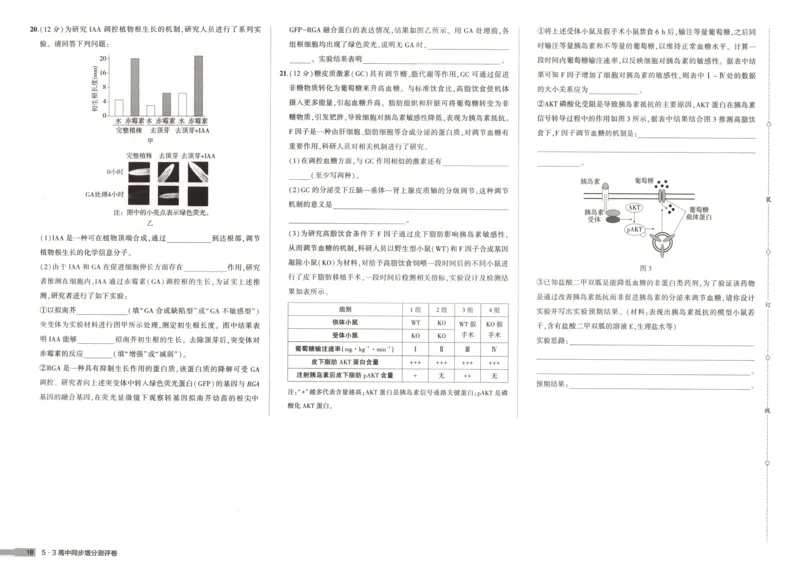 53同步生物选修1RJ增分测评卷(1)_高中三年全科资料_高中_高中1_2026版高中《5高考3年模拟》同步版（9科必修+选修）（人教）_2026《高中53同步练习》生物选修一RJ