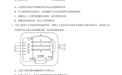 2025年菁优高考生物压轴训练5_中考押题2026《中考押题》系列（9科全套实时更新中）_2026版中考《菁优系列》趋势分析+押题密卷+抢分秘籍+模拟考试_0062025菁优高考解密汇编-生物_压轴篇
