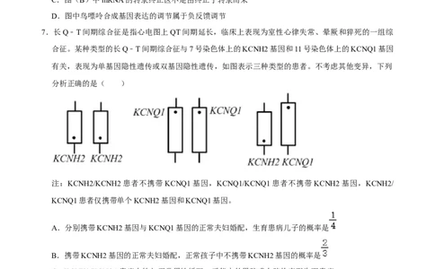 2025年菁优高考生物压轴训练5_中考押题2026《中考押题》系列（9科全套实时更新中）_2026版中考《菁优系列》趋势分析+押题密卷+抢分秘籍+模拟考试_0062025菁优高考解密汇编-生物_压轴篇