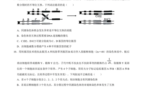2025年菁优高考生物压轴训练5_中考押题2026《中考押题》系列（9科全套实时更新中）_2026版中考《菁优系列》趋势分析+押题密卷+抢分秘籍+模拟考试_0062025菁优高考解密汇编-生物_压轴篇