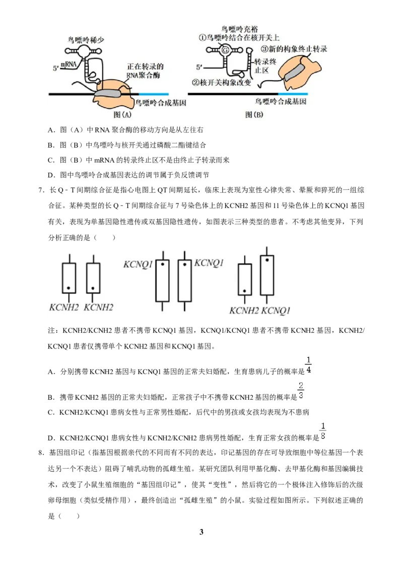 2025年菁优高考生物压轴训练5_中考押题2026《中考押题》系列（9科全套实时更新中）_2026版中考《菁优系列》趋势分析+押题密卷+抢分秘籍+模拟考试_0062025菁优高考解密汇编-生物_压轴篇