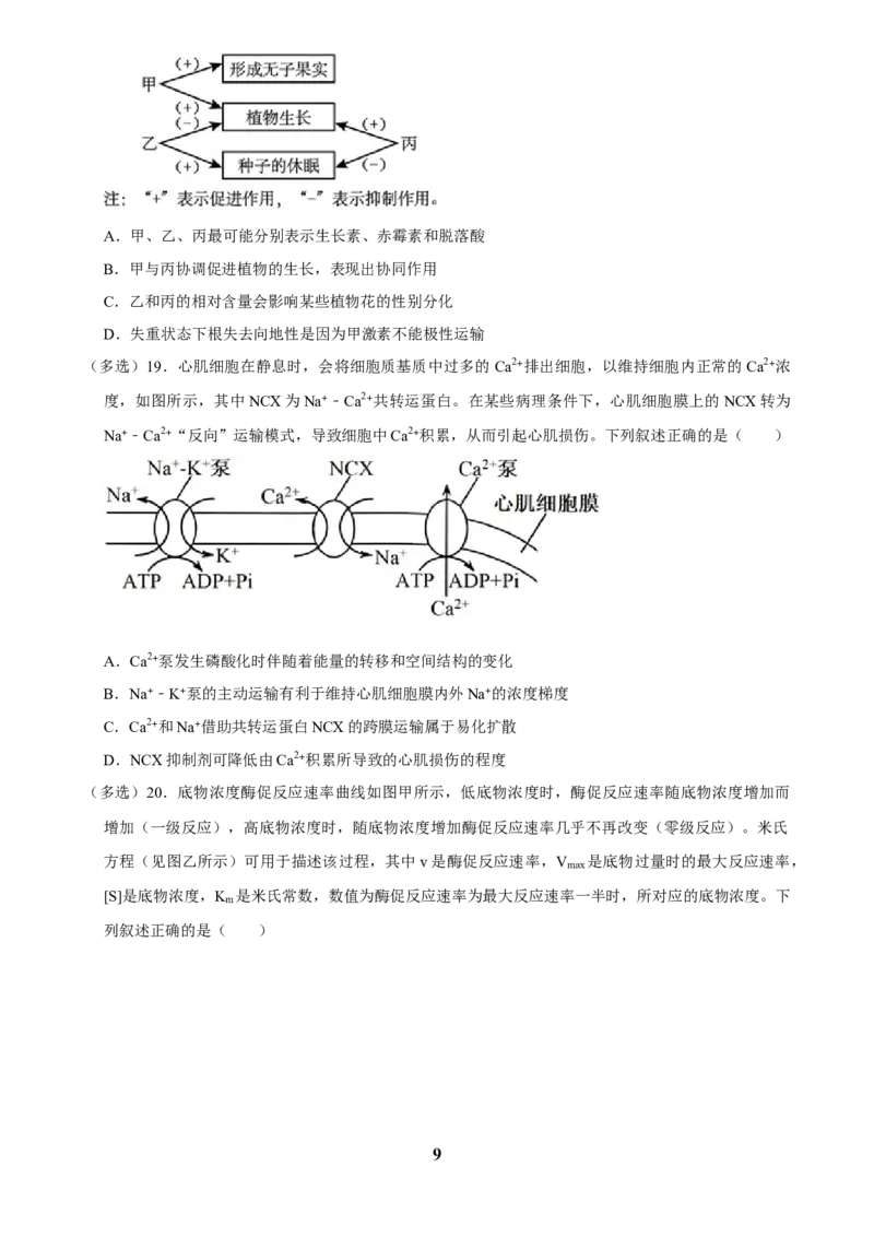 2025年菁优高考生物压轴训练5_中考押题2026《中考押题》系列（9科全套实时更新中）_2026版中考《菁优系列》趋势分析+押题密卷+抢分秘籍+模拟考试_0062025菁优高考解密汇编-生物_压轴篇