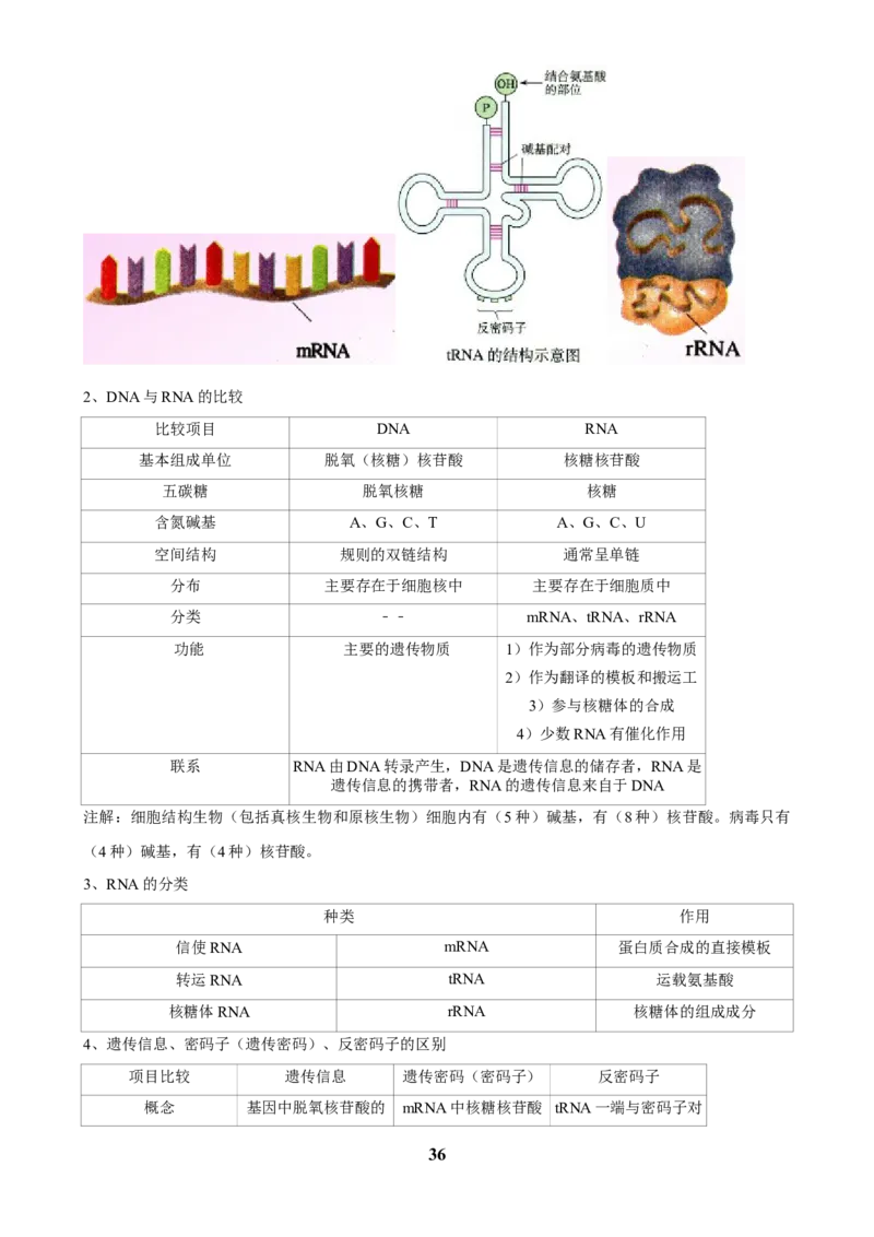 2025年菁优高考生物解密之生态系统_中考押题2026《中考押题》系列（9科全套实时更新中）_2026版中考《菁优系列》趋势分析+押题密卷+抢分秘籍+模拟考试_0062025菁优高考解密汇编-生物