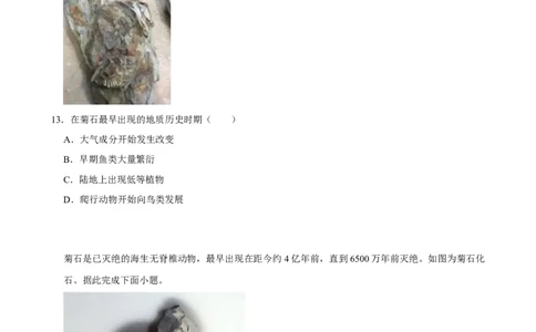 2025年菁优高考地理解密之宇宙中的地球_中考押题2026《中考押题》系列（9科全套实时更新中）_2026版中考《菁优系列》趋势分析+押题密卷+抢分秘籍+模拟考试_考点篇