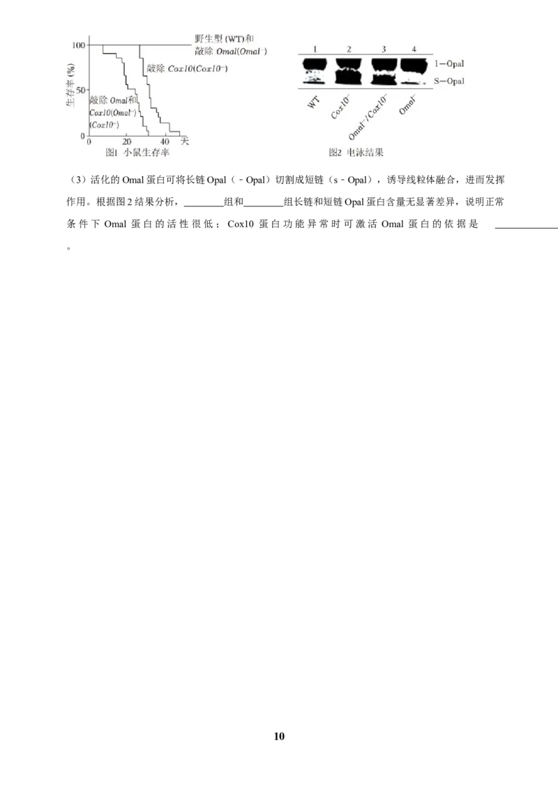 2025年菁优高考生物解密之细胞的分子组成与结构_中考押题2026《中考押题》系列（9科全套实时更新中）_2026版中考《菁优系列》趋势分析+押题密卷+抢分秘籍+模拟考试_考点篇