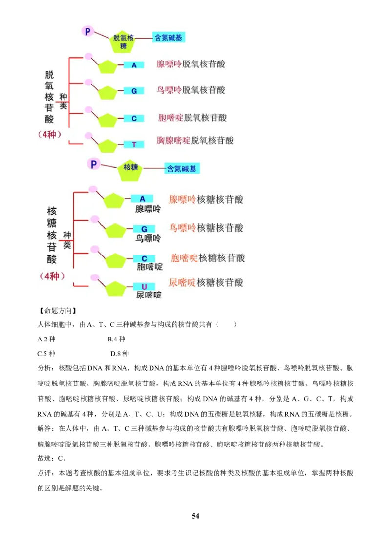 2025年菁优高考生物解密之细胞的分子组成与结构_中考押题2026《中考押题》系列（9科全套实时更新中）_2026版中考《菁优系列》趋势分析+押题密卷+抢分秘籍+模拟考试_考点篇