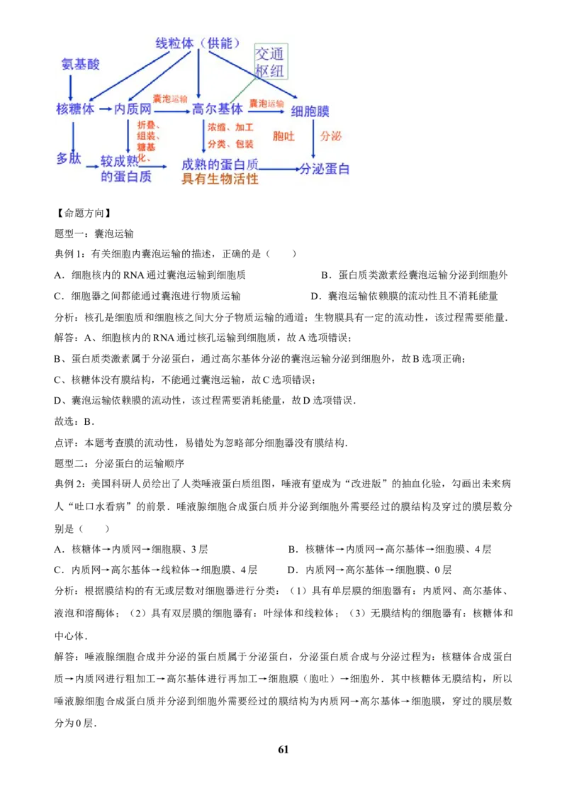 2025年菁优高考生物解密之细胞的分子组成与结构_中考押题2026《中考押题》系列（9科全套实时更新中）_2026版中考《菁优系列》趋势分析+押题密卷+抢分秘籍+模拟考试_考点篇
