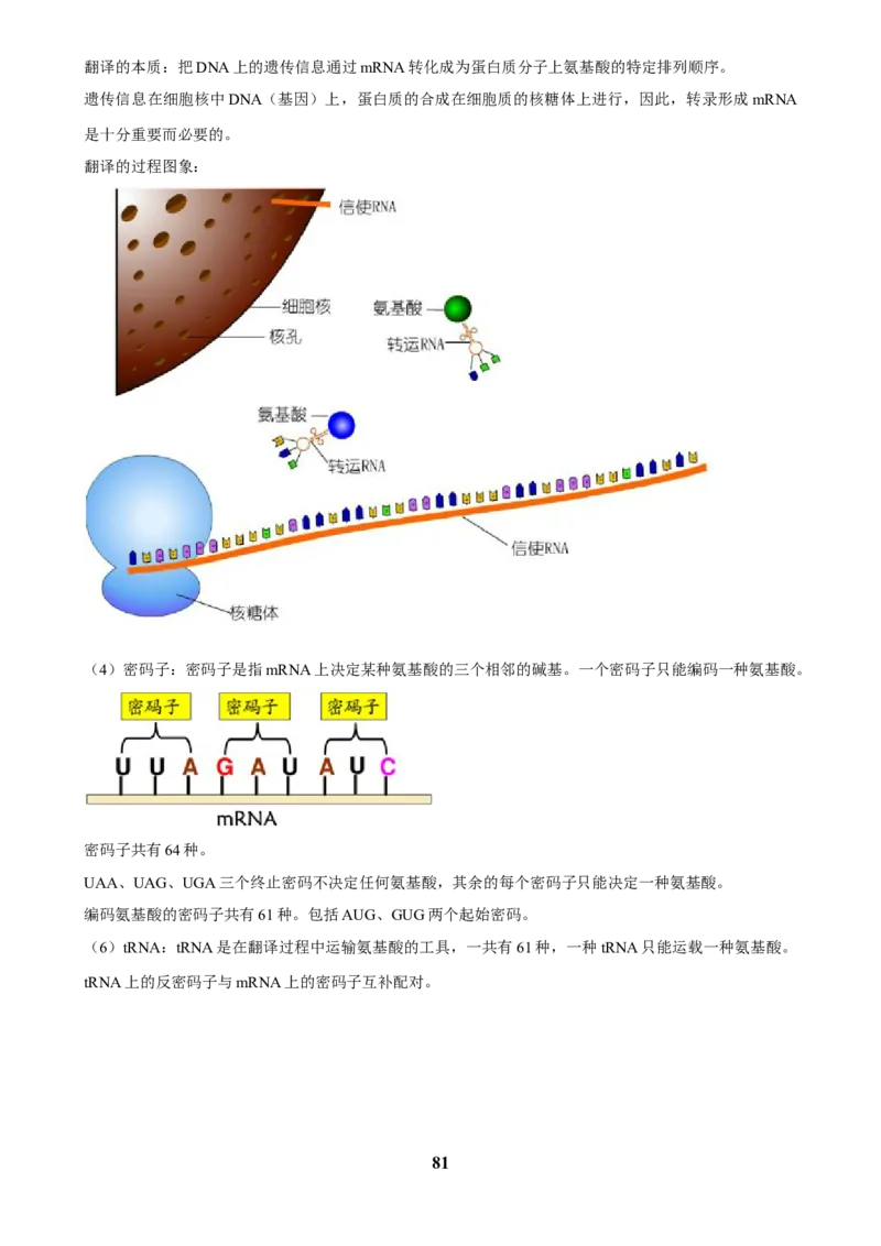 2025年菁优高考生物解密之细胞的分子组成与结构_中考押题2026《中考押题》系列（9科全套实时更新中）_2026版中考《菁优系列》趋势分析+押题密卷+抢分秘籍+模拟考试_考点篇