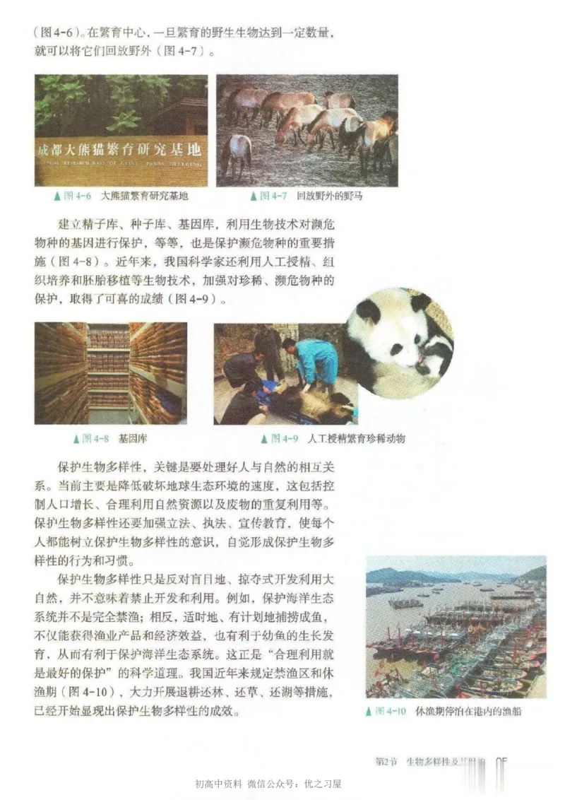 4新教材高中生物选择性必修2《生物与环境》_高中三年全科资料_高中各科课本电子教材_06高中生物课本_人教版-生物课本