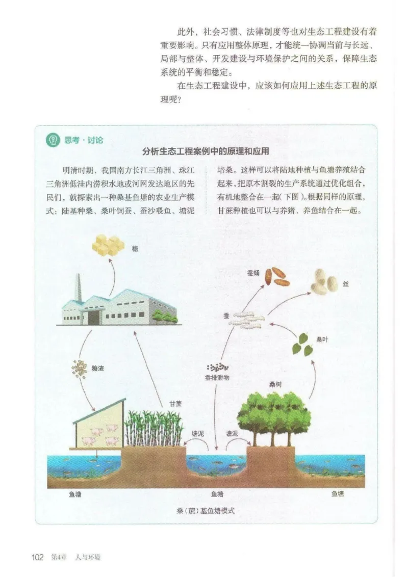 4新教材高中生物选择性必修2《生物与环境》_高中三年全科资料_高中各科课本电子教材_06高中生物课本_人教版-生物课本