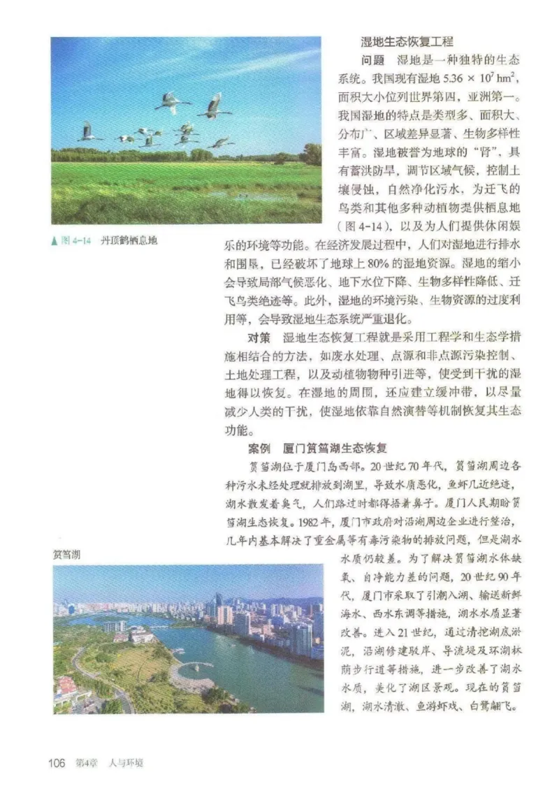 4新教材高中生物选择性必修2《生物与环境》_高中三年全科资料_高中各科课本电子教材_06高中生物课本_人教版-生物课本