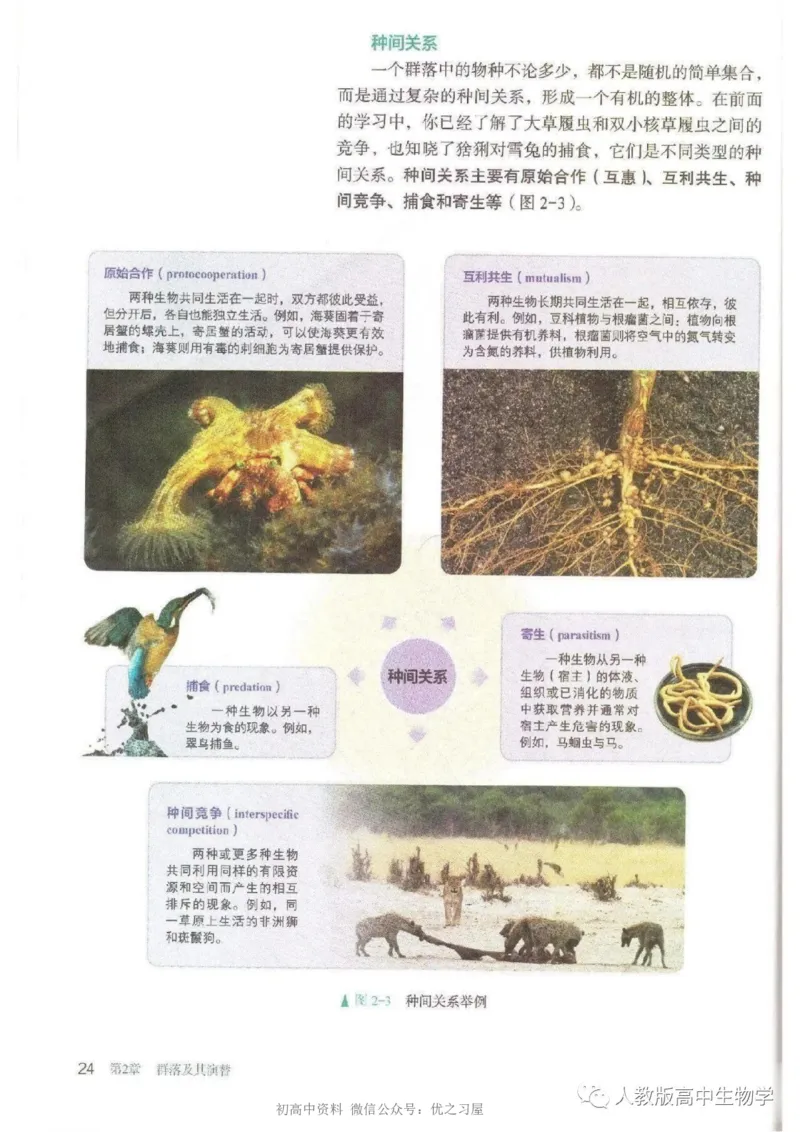 4新教材高中生物选择性必修2《生物与环境》_高中三年全科资料_高中各科课本电子教材_06高中生物课本_人教版-生物课本