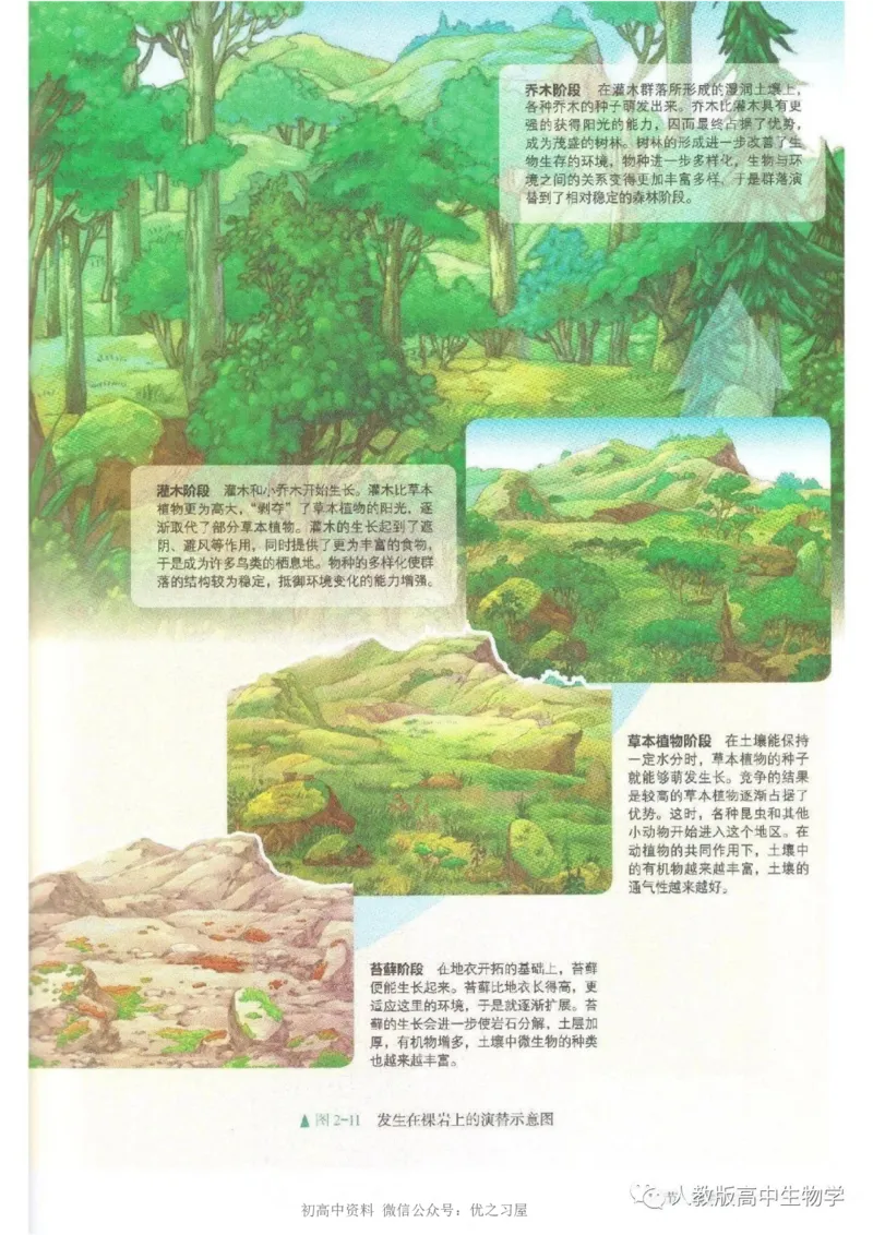 4新教材高中生物选择性必修2《生物与环境》_高中三年全科资料_高中各科课本电子教材_06高中生物课本_人教版-生物课本