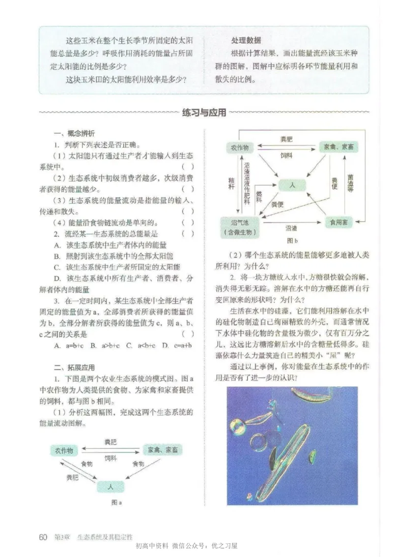 4新教材高中生物选择性必修2《生物与环境》_高中三年全科资料_高中各科课本电子教材_06高中生物课本_人教版-生物课本