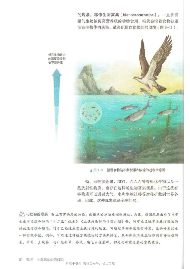 4新教材高中生物选择性必修2《生物与环境》_高中三年全科资料_高中各科课本电子教材_06高中生物课本_人教版-生物课本