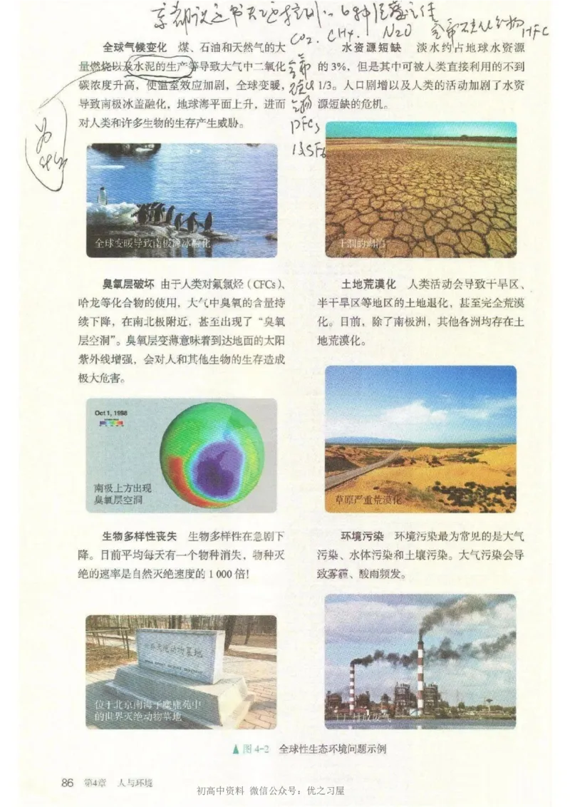 4新教材高中生物选择性必修2《生物与环境》_高中三年全科资料_高中各科课本电子教材_06高中生物课本_人教版-生物课本