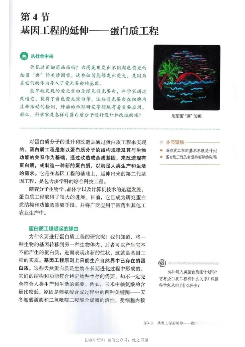 5新教材高中生物选择性必修3《生物技术与工程》_高中三年全科资料_高中各科课本电子教材_06高中生物课本_人教版-生物课本