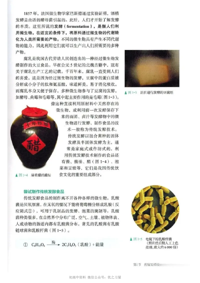 5新教材高中生物选择性必修3《生物技术与工程》_高中三年全科资料_高中各科课本电子教材_06高中生物课本_人教版-生物课本