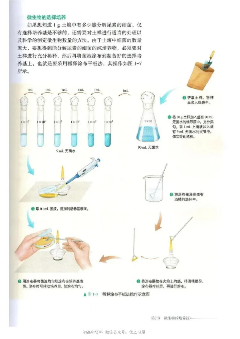 5新教材高中生物选择性必修3《生物技术与工程》_高中三年全科资料_高中各科课本电子教材_06高中生物课本_人教版-生物课本