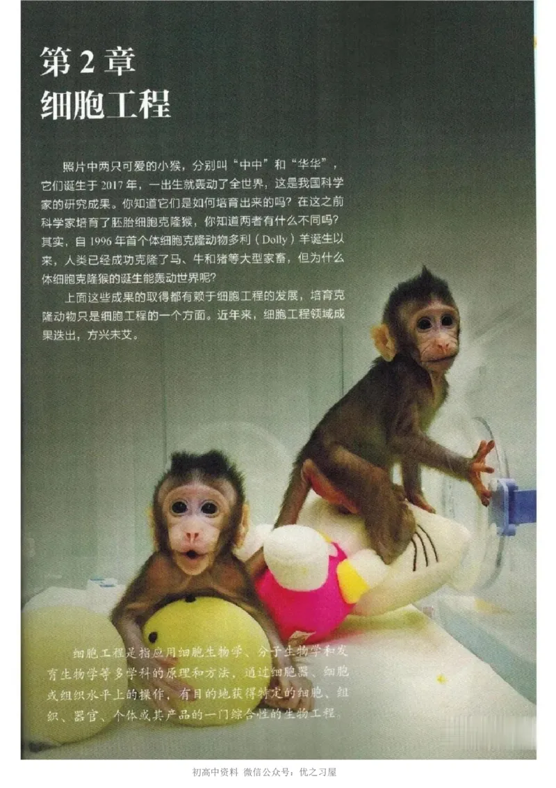 5新教材高中生物选择性必修3《生物技术与工程》_高中三年全科资料_高中各科课本电子教材_06高中生物课本_人教版-生物课本