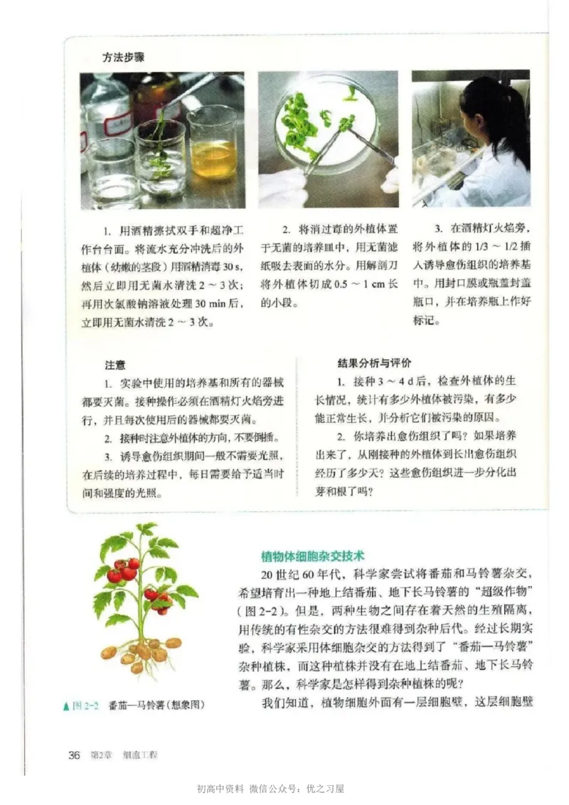 5新教材高中生物选择性必修3《生物技术与工程》_高中三年全科资料_高中各科课本电子教材_06高中生物课本_人教版-生物课本