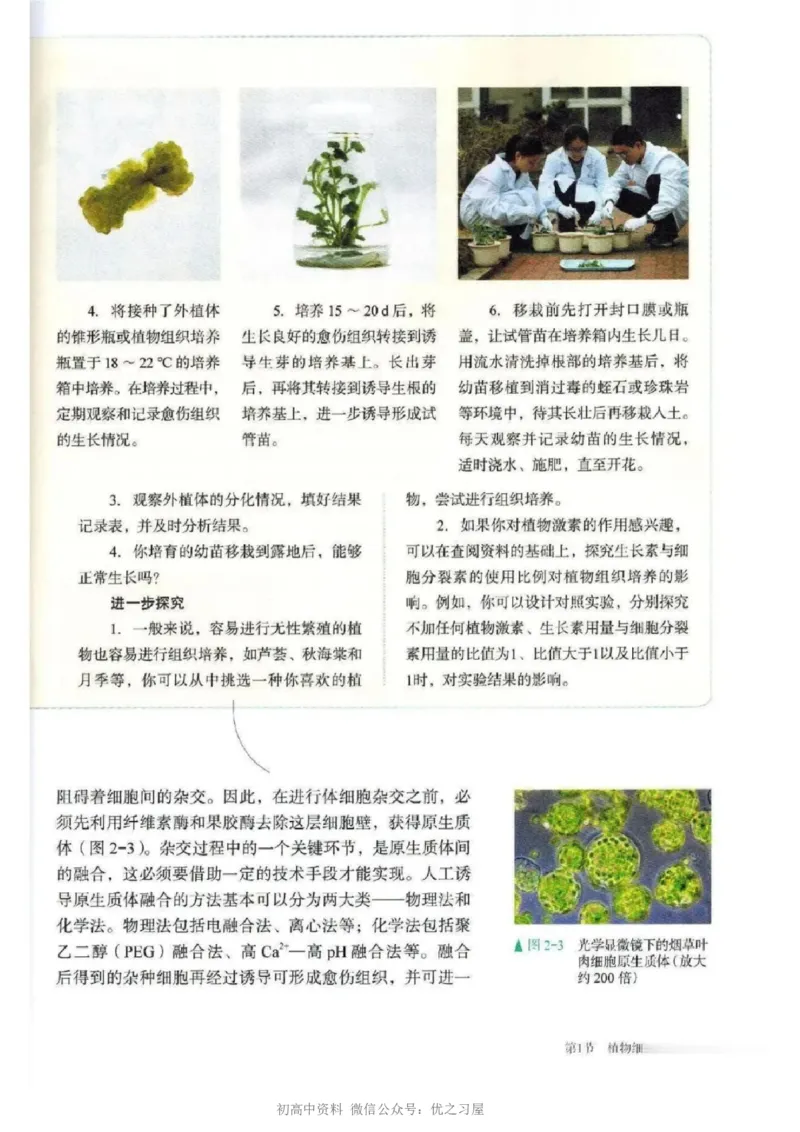 5新教材高中生物选择性必修3《生物技术与工程》_高中三年全科资料_高中各科课本电子教材_06高中生物课本_人教版-生物课本