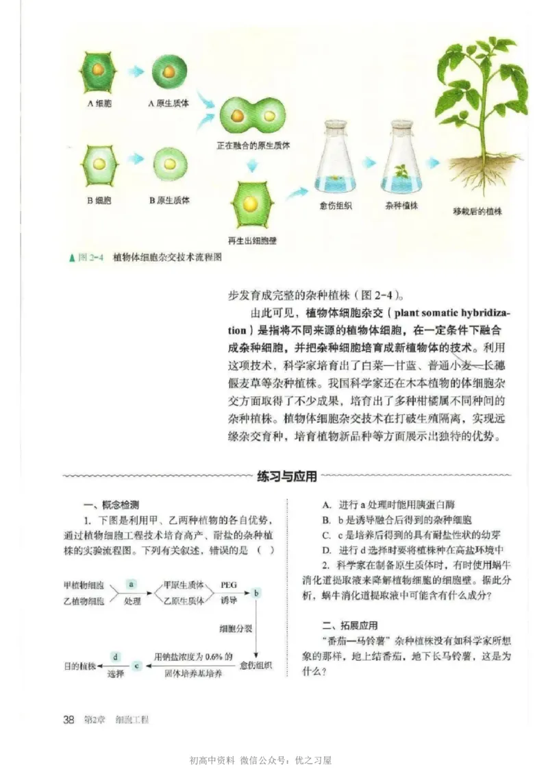 5新教材高中生物选择性必修3《生物技术与工程》_高中三年全科资料_高中各科课本电子教材_06高中生物课本_人教版-生物课本