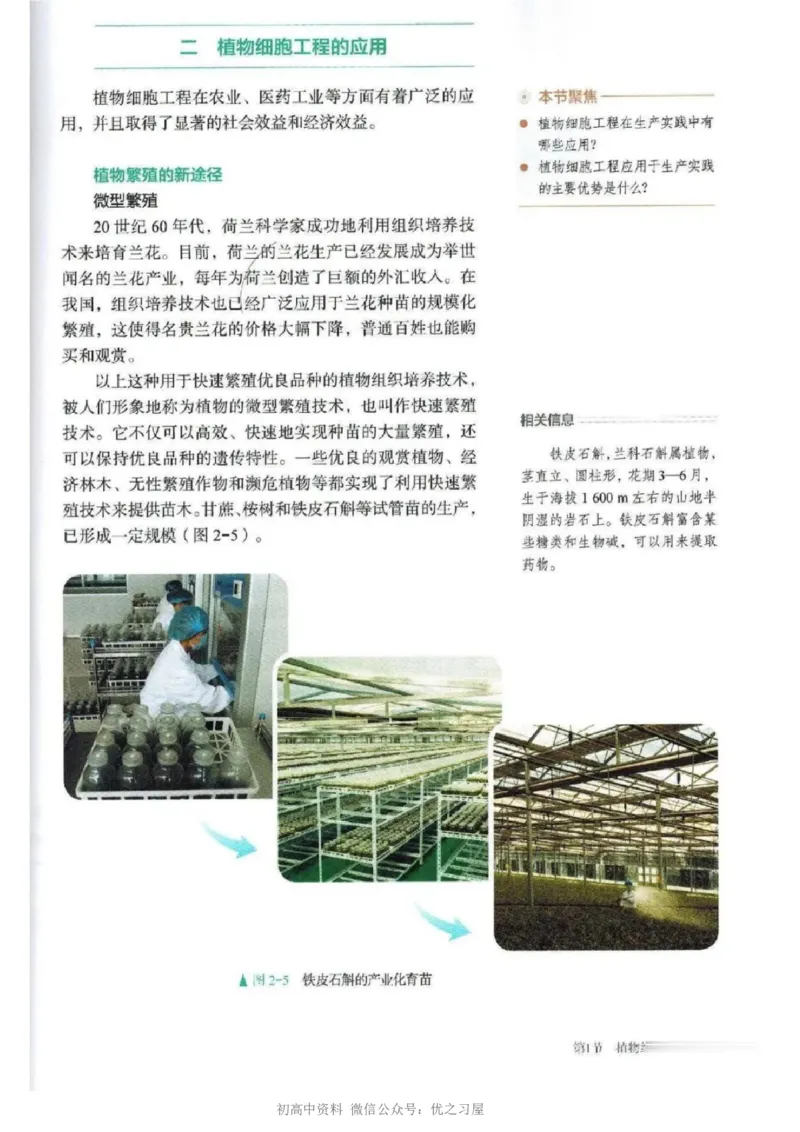 5新教材高中生物选择性必修3《生物技术与工程》_高中三年全科资料_高中各科课本电子教材_06高中生物课本_人教版-生物课本