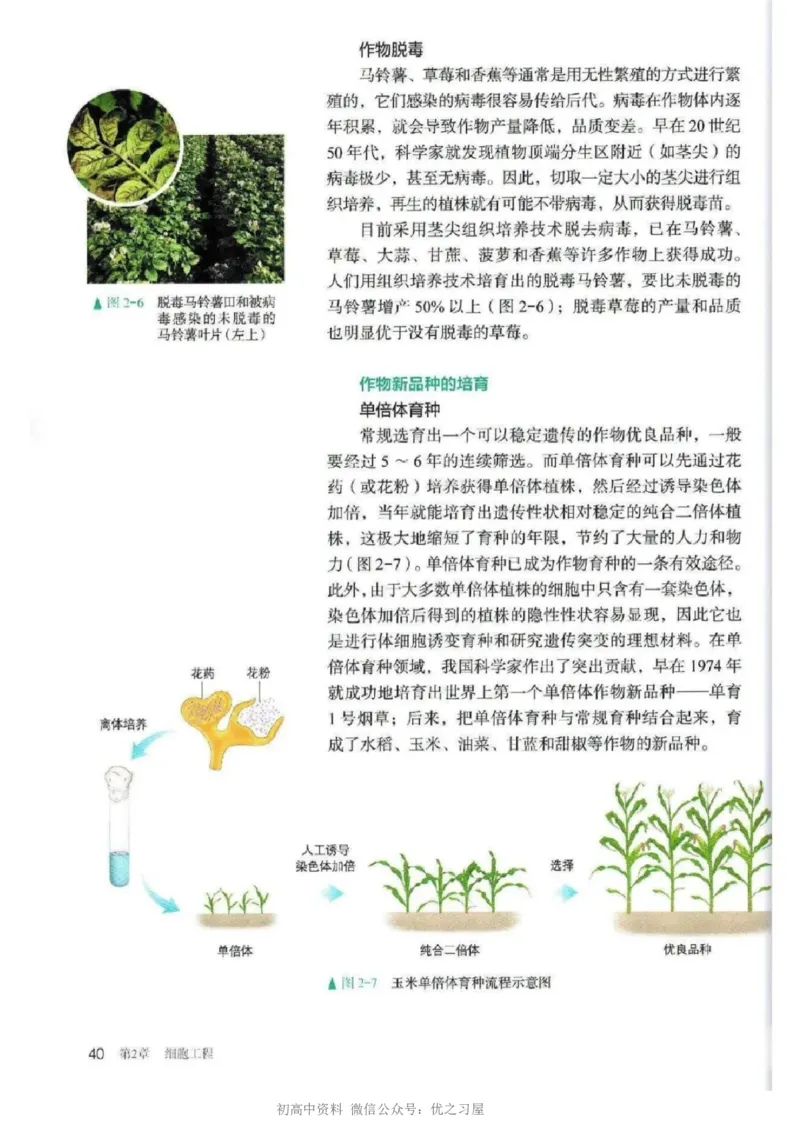 5新教材高中生物选择性必修3《生物技术与工程》_高中三年全科资料_高中各科课本电子教材_06高中生物课本_人教版-生物课本