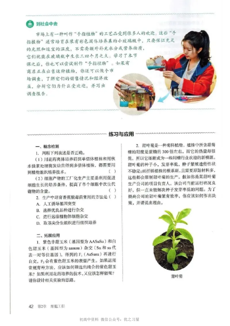 5新教材高中生物选择性必修3《生物技术与工程》_高中三年全科资料_高中各科课本电子教材_06高中生物课本_人教版-生物课本