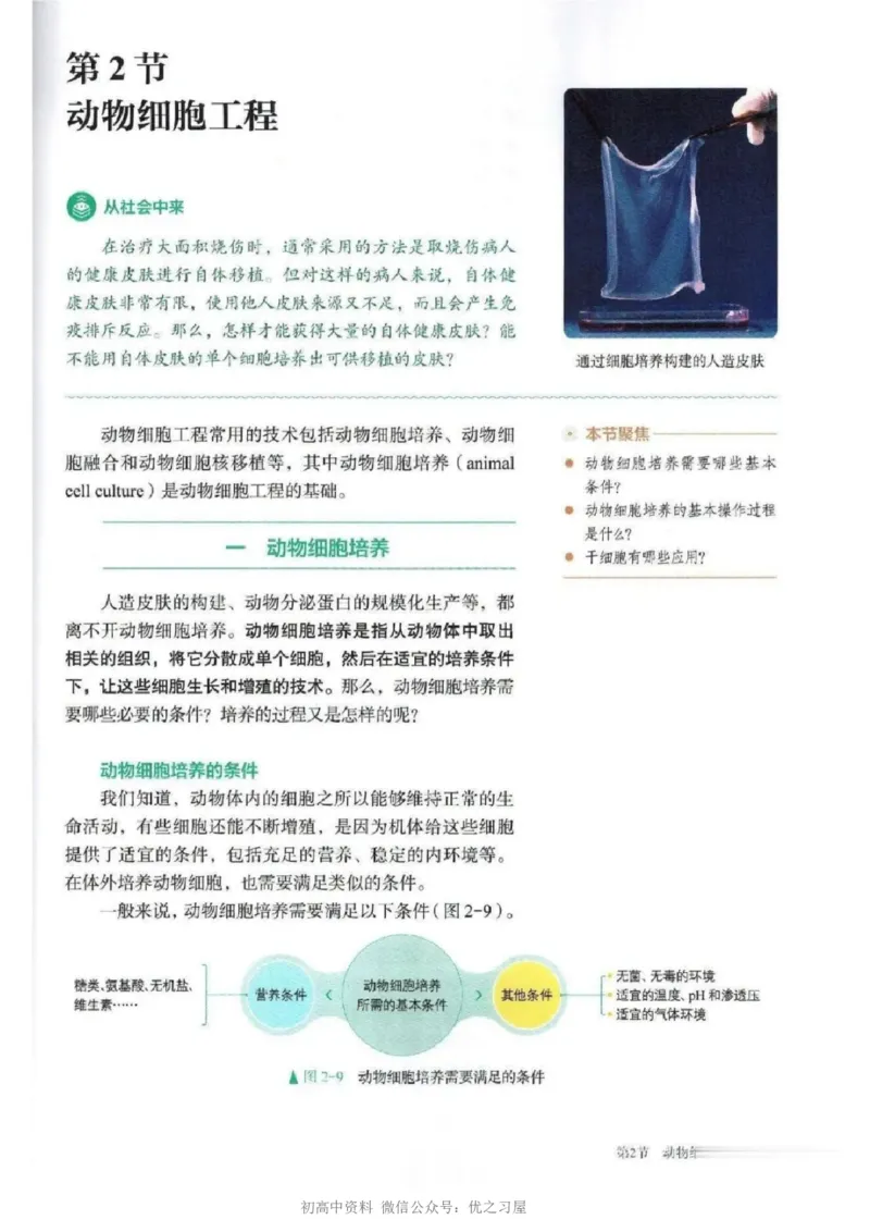 5新教材高中生物选择性必修3《生物技术与工程》_高中三年全科资料_高中各科课本电子教材_06高中生物课本_人教版-生物课本