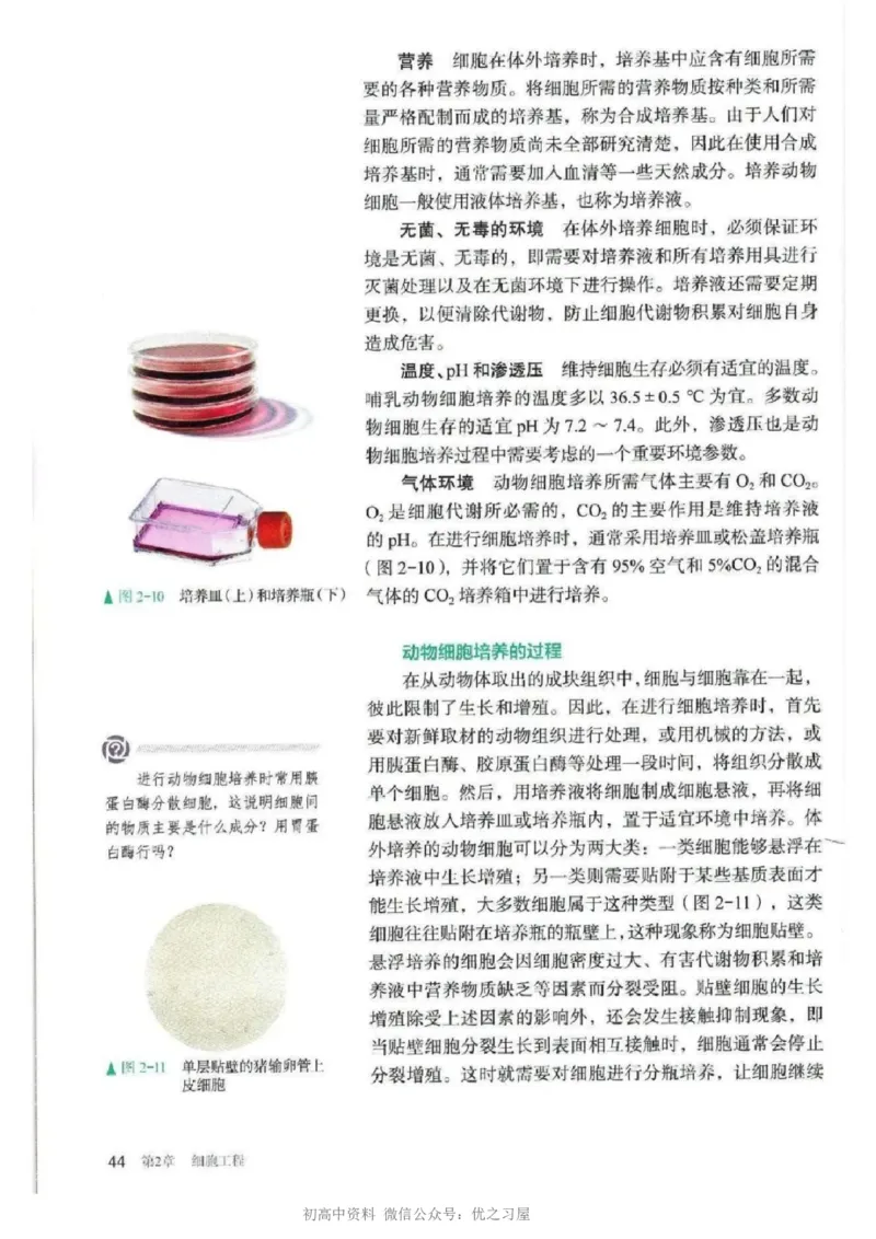 5新教材高中生物选择性必修3《生物技术与工程》_高中三年全科资料_高中各科课本电子教材_06高中生物课本_人教版-生物课本
