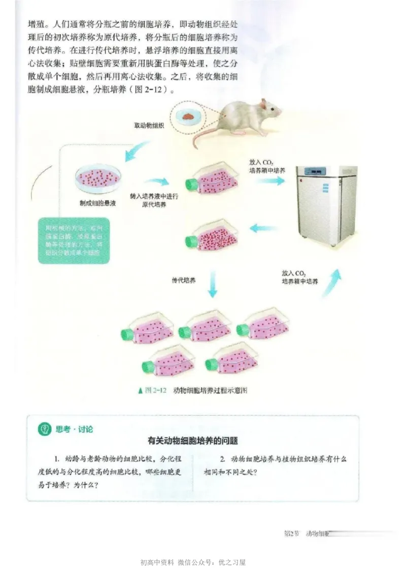 5新教材高中生物选择性必修3《生物技术与工程》_高中三年全科资料_高中各科课本电子教材_06高中生物课本_人教版-生物课本