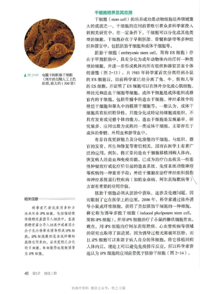 5新教材高中生物选择性必修3《生物技术与工程》_高中三年全科资料_高中各科课本电子教材_06高中生物课本_人教版-生物课本