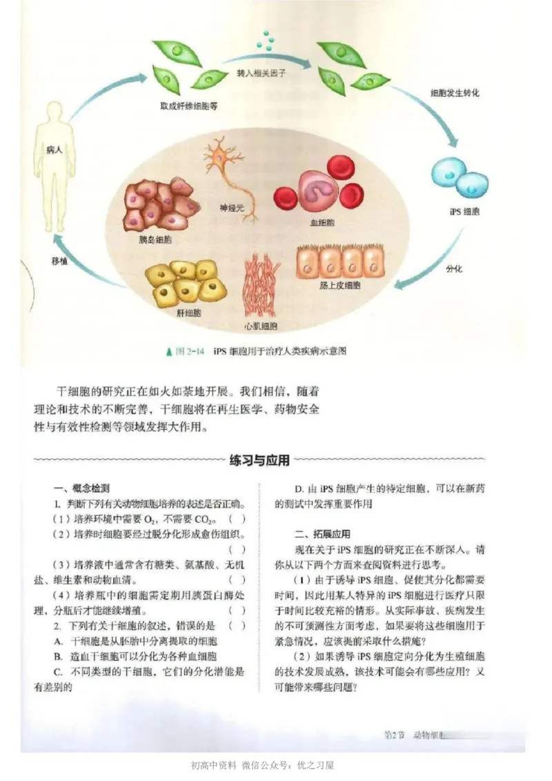 5新教材高中生物选择性必修3《生物技术与工程》_高中三年全科资料_高中各科课本电子教材_06高中生物课本_人教版-生物课本