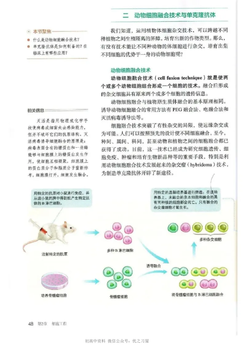 5新教材高中生物选择性必修3《生物技术与工程》_高中三年全科资料_高中各科课本电子教材_06高中生物课本_人教版-生物课本