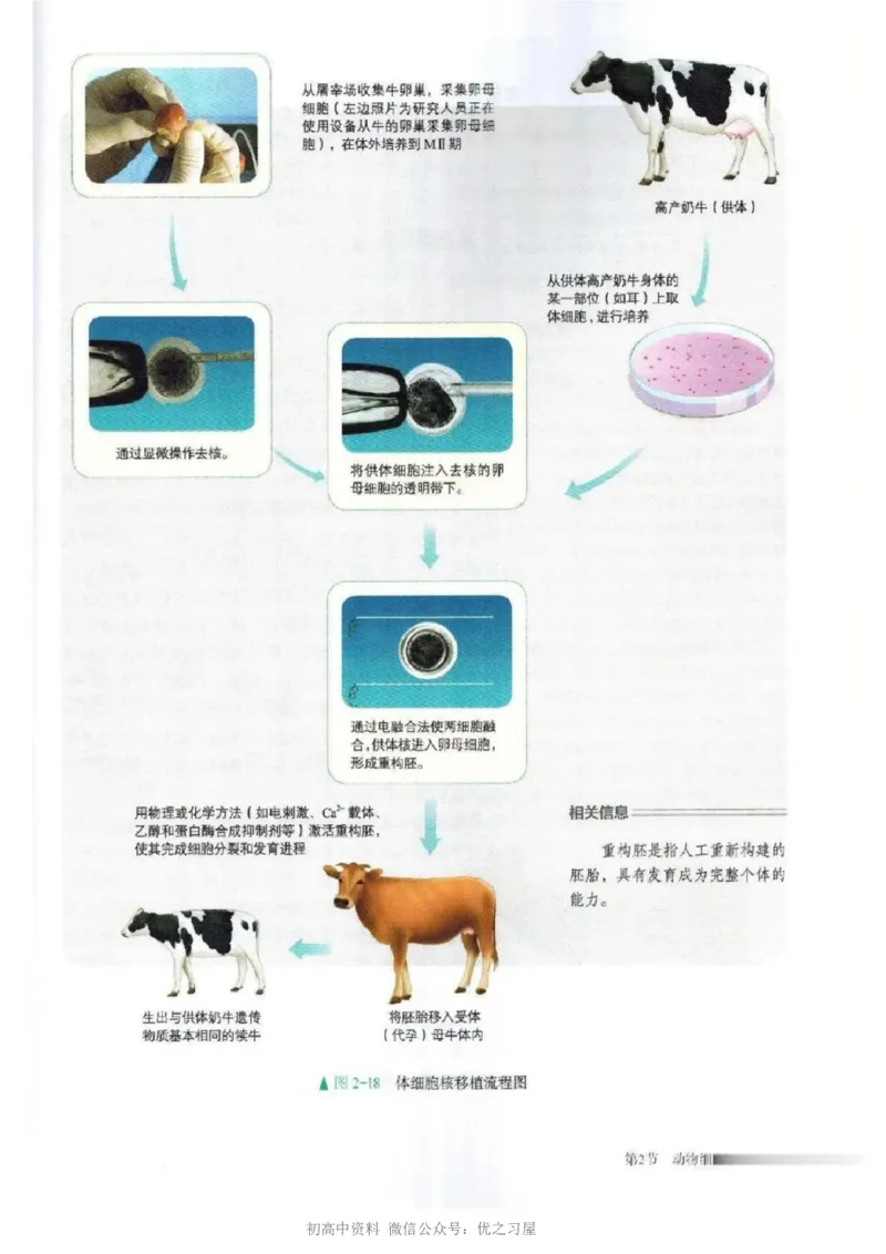 5新教材高中生物选择性必修3《生物技术与工程》_高中三年全科资料_高中各科课本电子教材_06高中生物课本_人教版-生物课本
