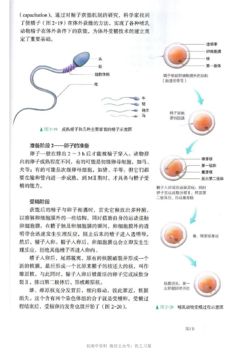 5新教材高中生物选择性必修3《生物技术与工程》_高中三年全科资料_高中各科课本电子教材_06高中生物课本_人教版-生物课本
