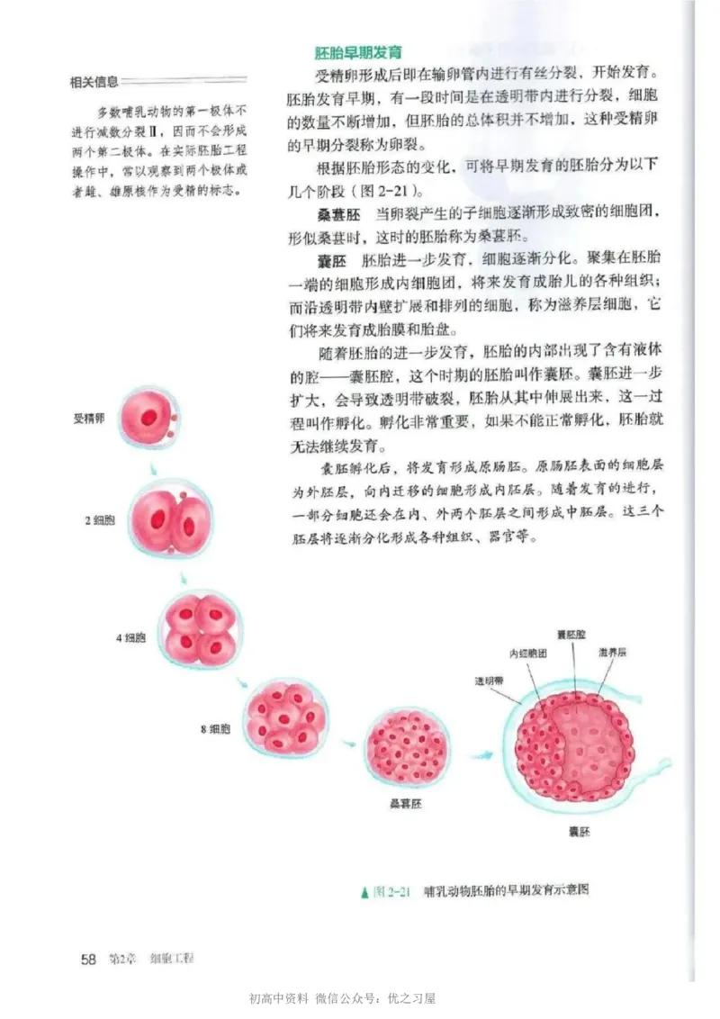 5新教材高中生物选择性必修3《生物技术与工程》_高中三年全科资料_高中各科课本电子教材_06高中生物课本_人教版-生物课本