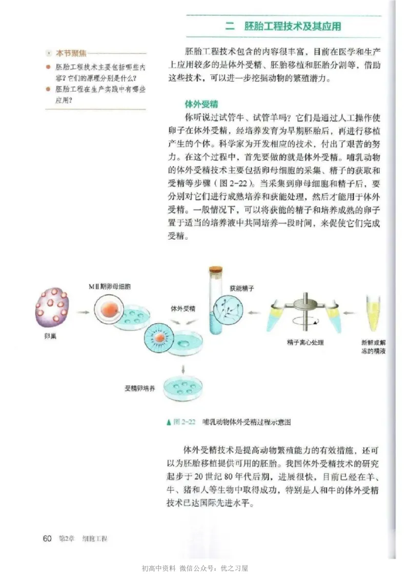 5新教材高中生物选择性必修3《生物技术与工程》_高中三年全科资料_高中各科课本电子教材_06高中生物课本_人教版-生物课本