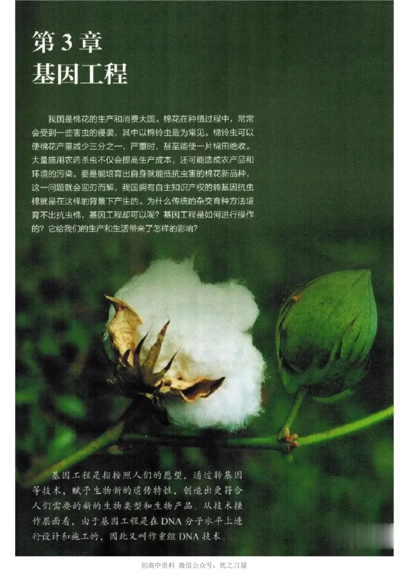 5新教材高中生物选择性必修3《生物技术与工程》_高中三年全科资料_高中各科课本电子教材_06高中生物课本_人教版-生物课本