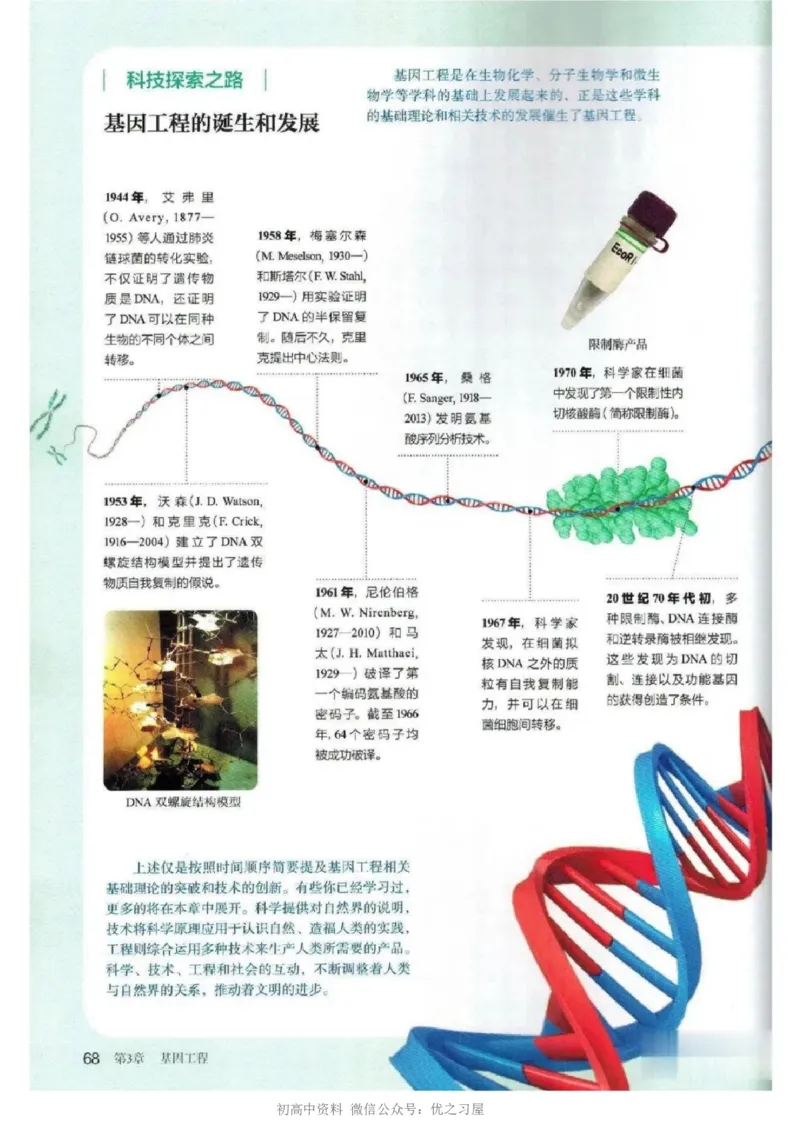 5新教材高中生物选择性必修3《生物技术与工程》_高中三年全科资料_高中各科课本电子教材_06高中生物课本_人教版-生物课本