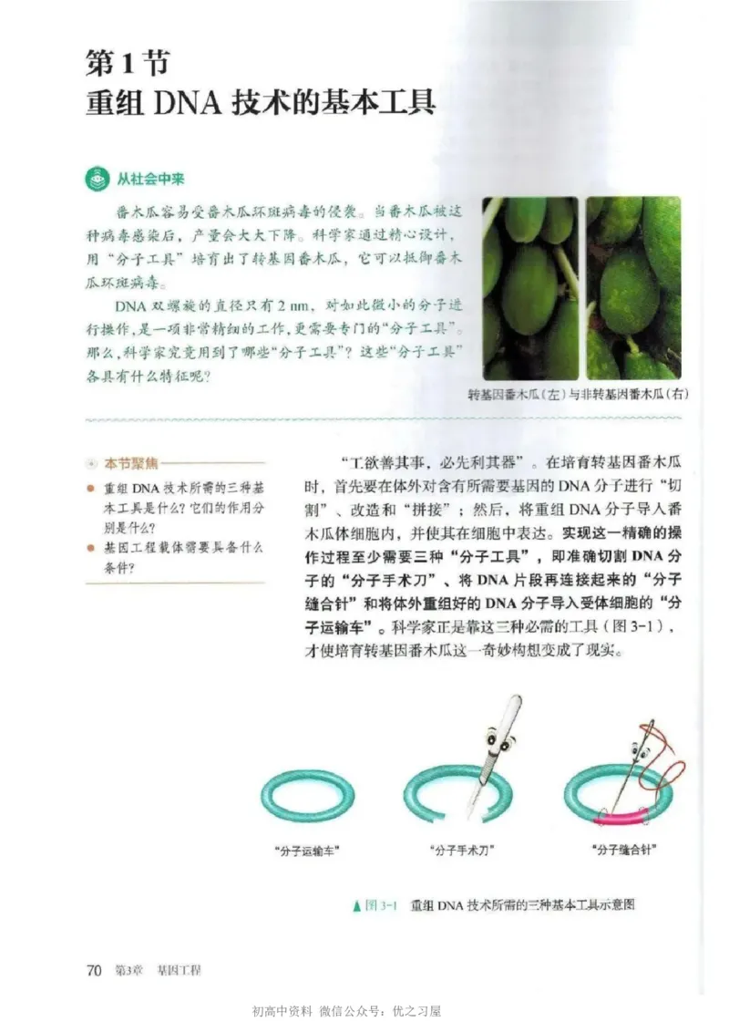 5新教材高中生物选择性必修3《生物技术与工程》_高中三年全科资料_高中各科课本电子教材_06高中生物课本_人教版-生物课本