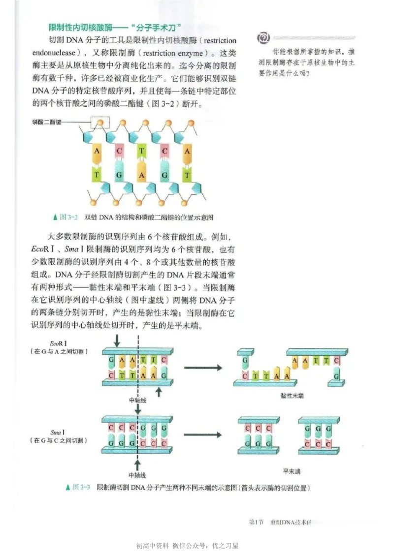 5新教材高中生物选择性必修3《生物技术与工程》_高中三年全科资料_高中各科课本电子教材_06高中生物课本_人教版-生物课本
