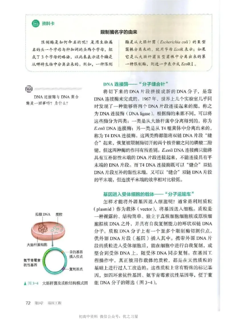 5新教材高中生物选择性必修3《生物技术与工程》_高中三年全科资料_高中各科课本电子教材_06高中生物课本_人教版-生物课本